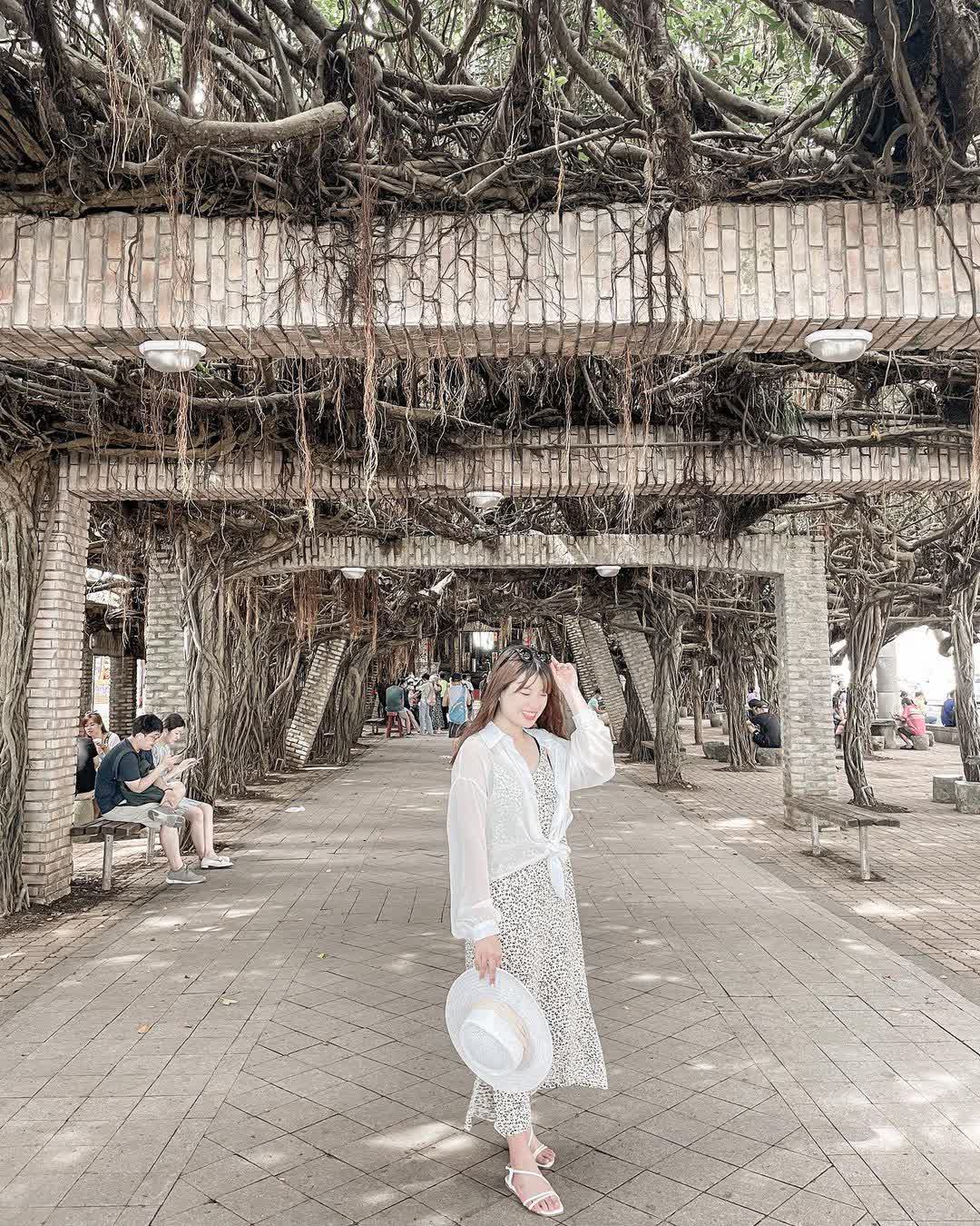 通梁古榕 | 去趣 chicTrip