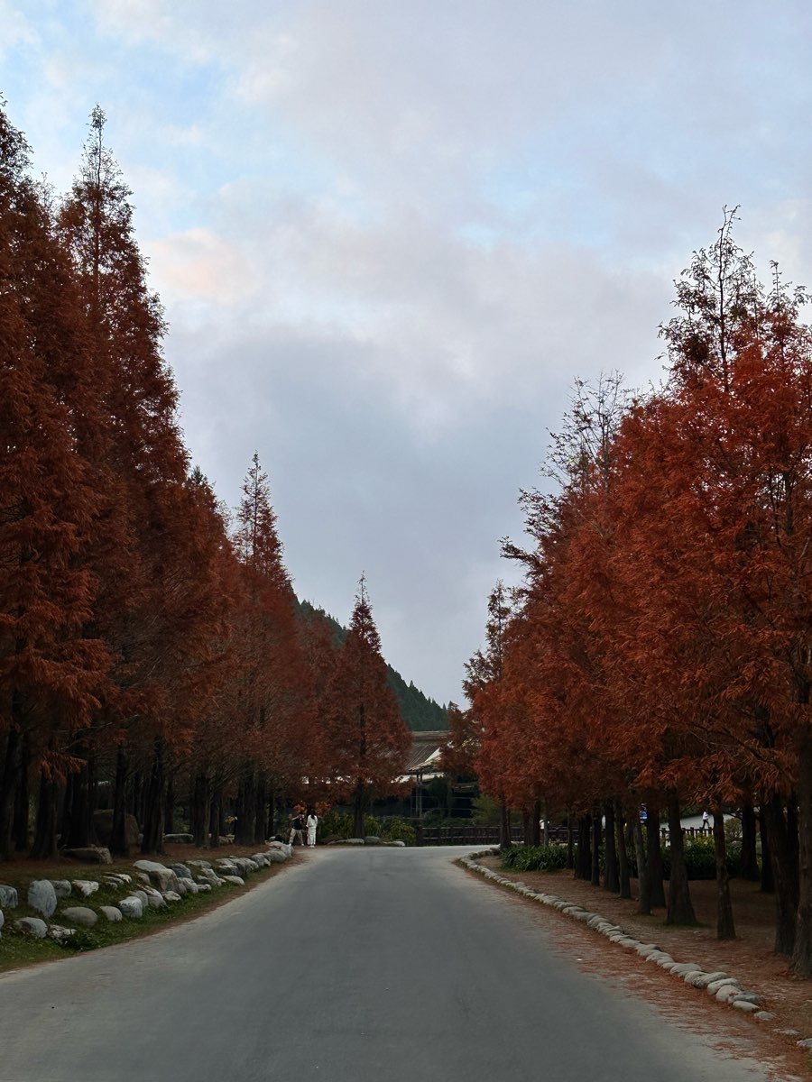 杉林溪森林生態渡假園區 | 去趣 chicTrip