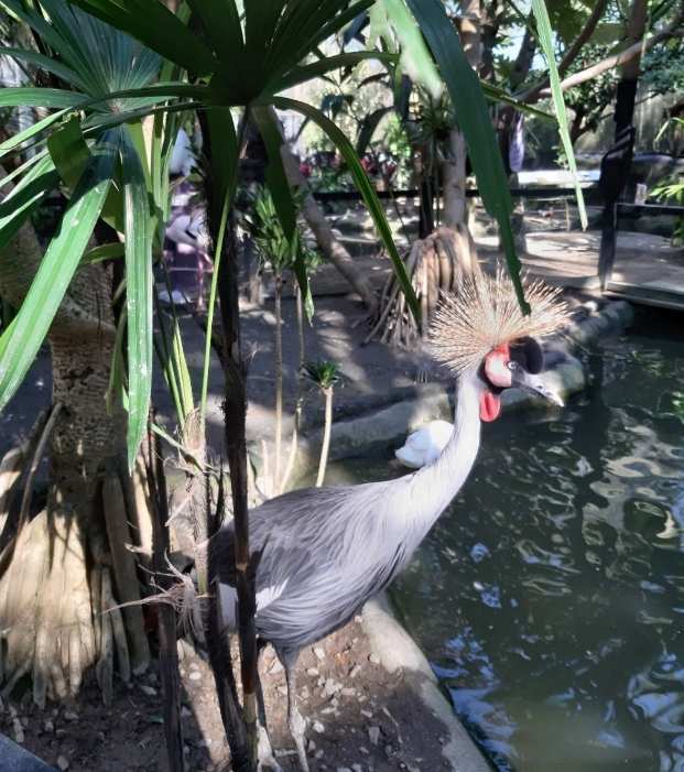 綠世界生態農場 | 去趣 chicTrip