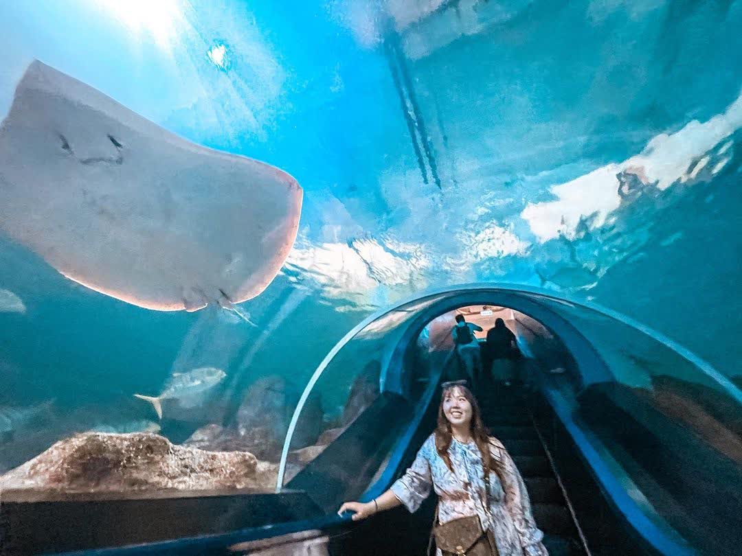 遠雄海洋公園 | 去趣 chicTrip