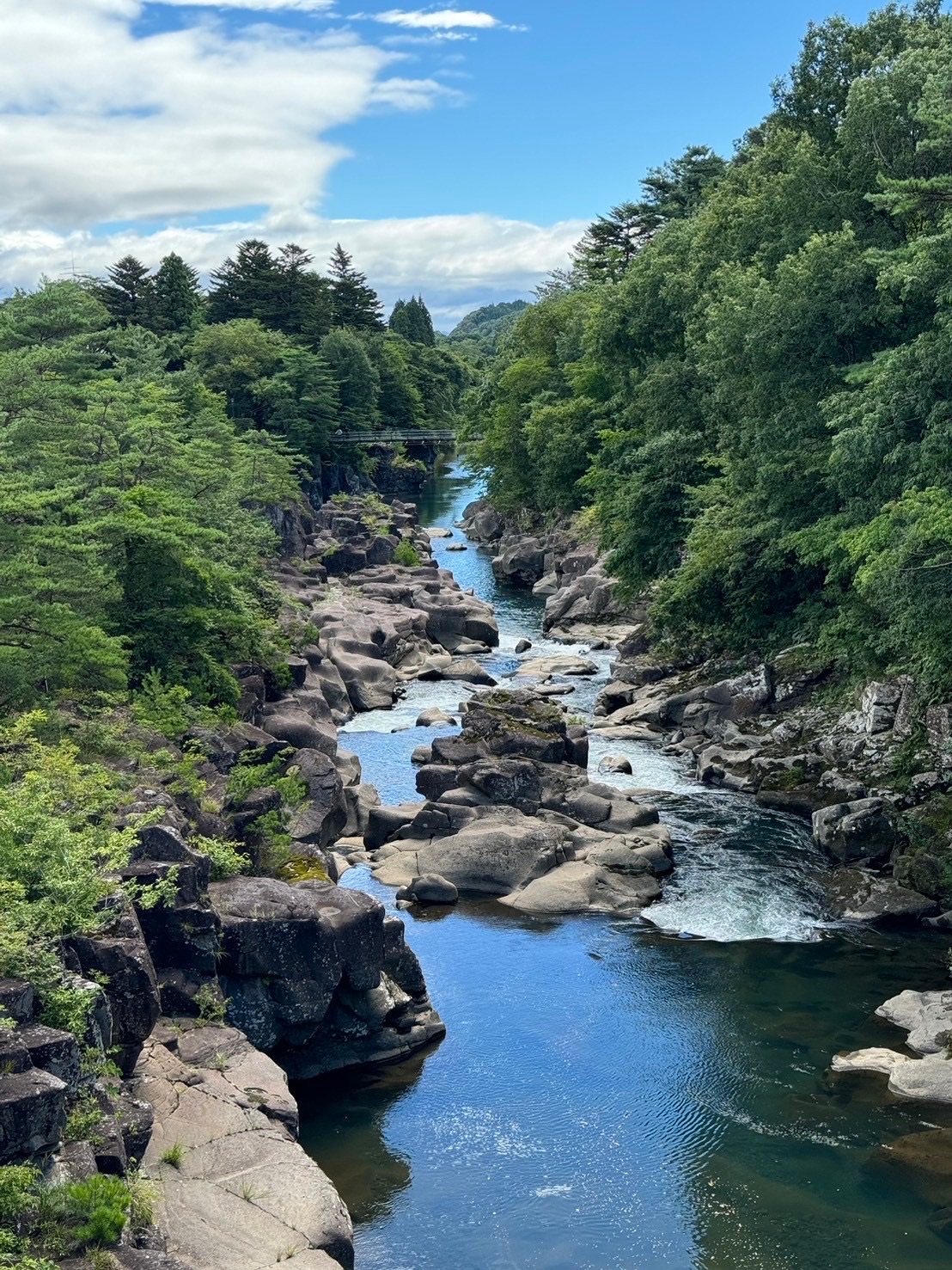 嚴美溪 | 去趣 chicTrip