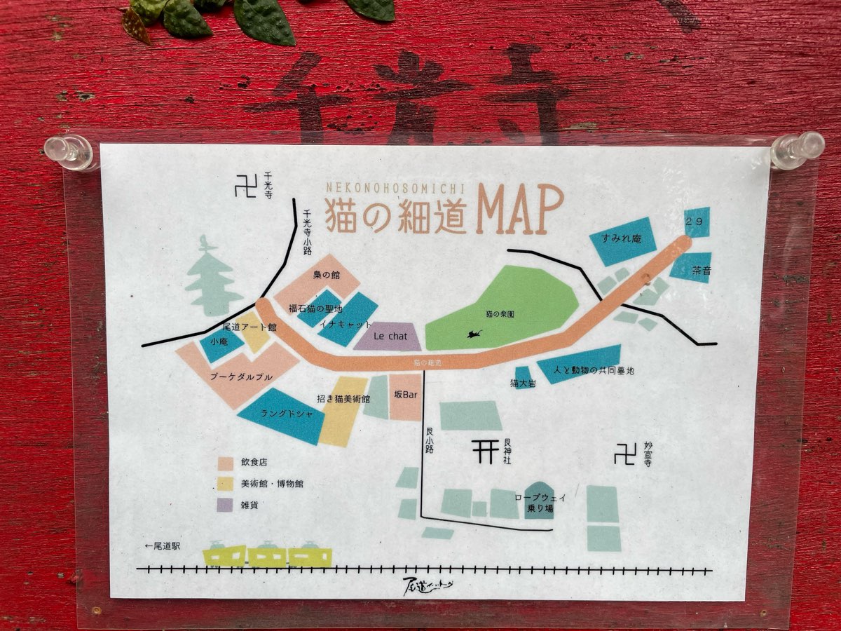 貓之細道 | 去趣 chicTrip