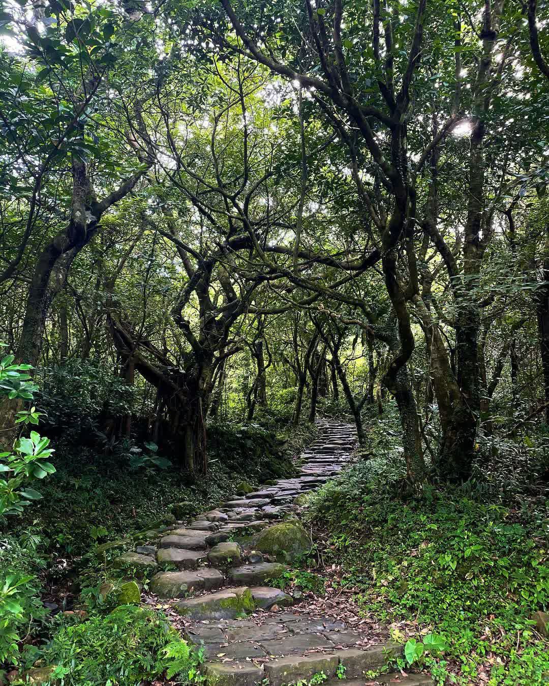 草嶺古道 | 去趣 chicTrip