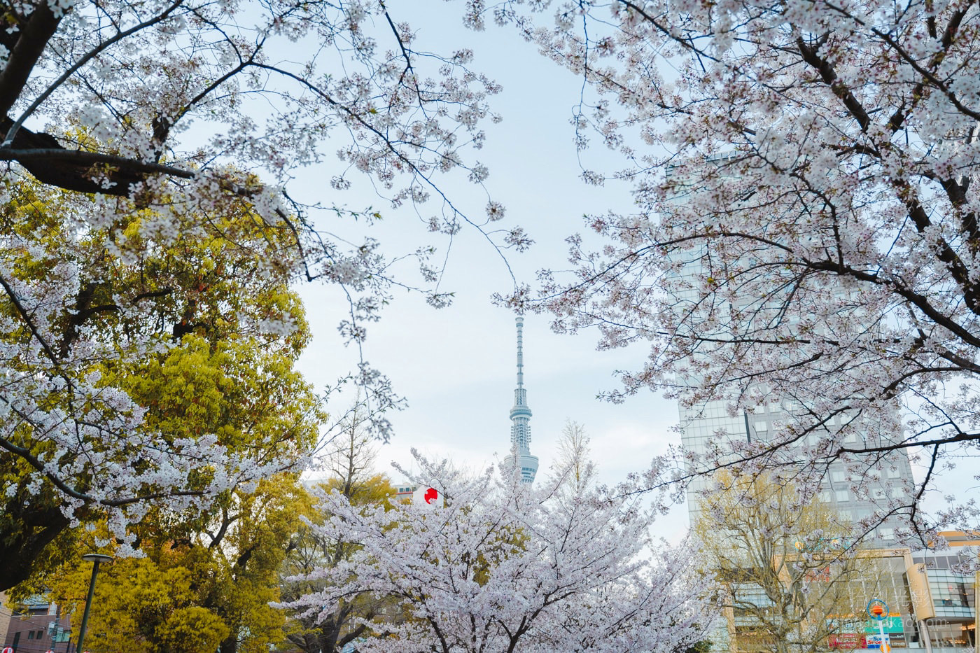 錦糸公園 | 去趣 chicTrip