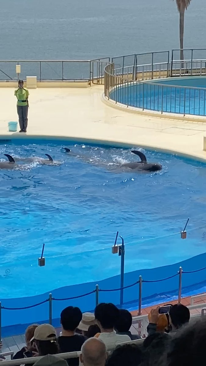 海洋世界海之中道 | 去趣 chicTrip