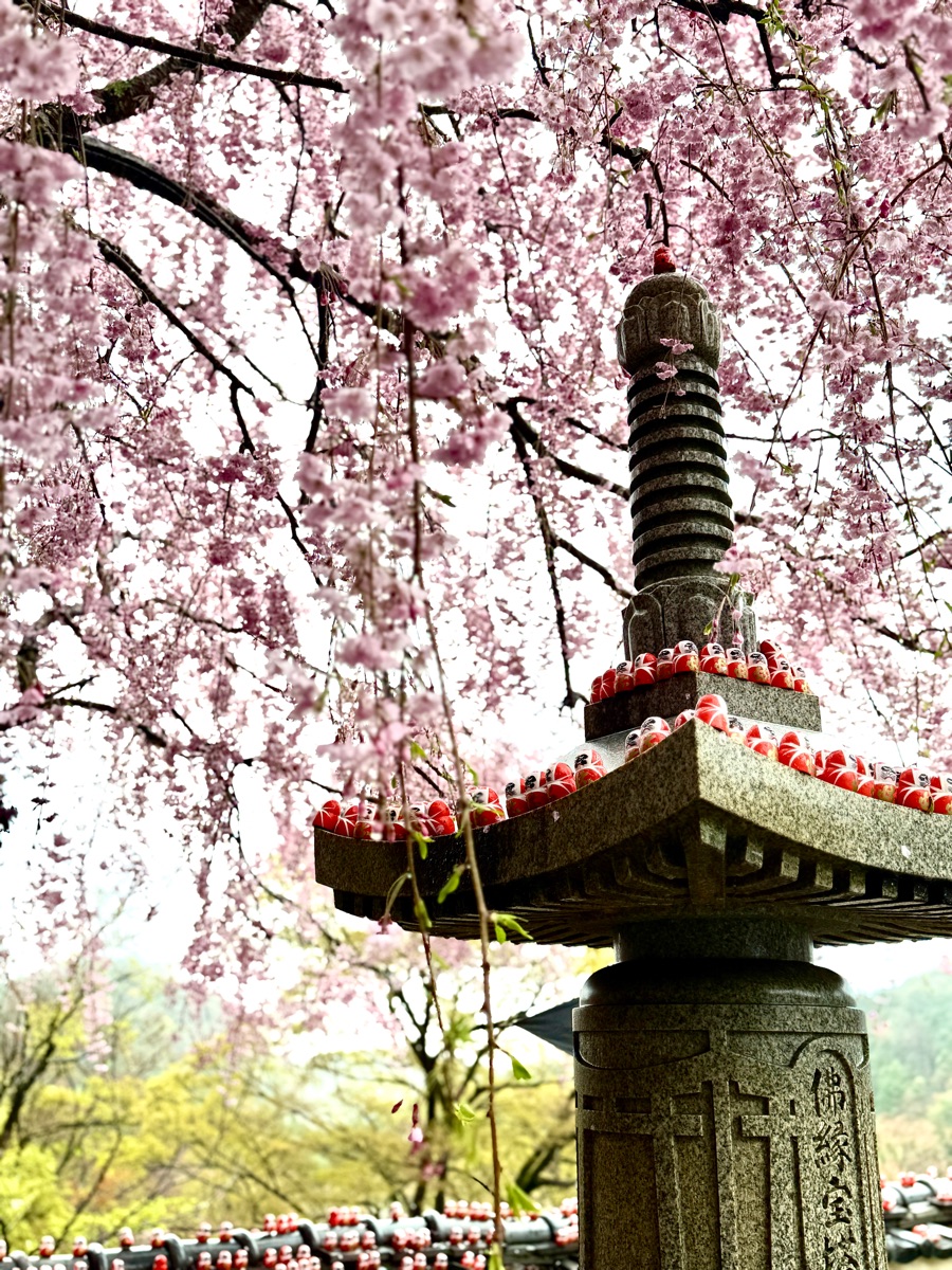 勝尾寺 | 去趣 chicTrip