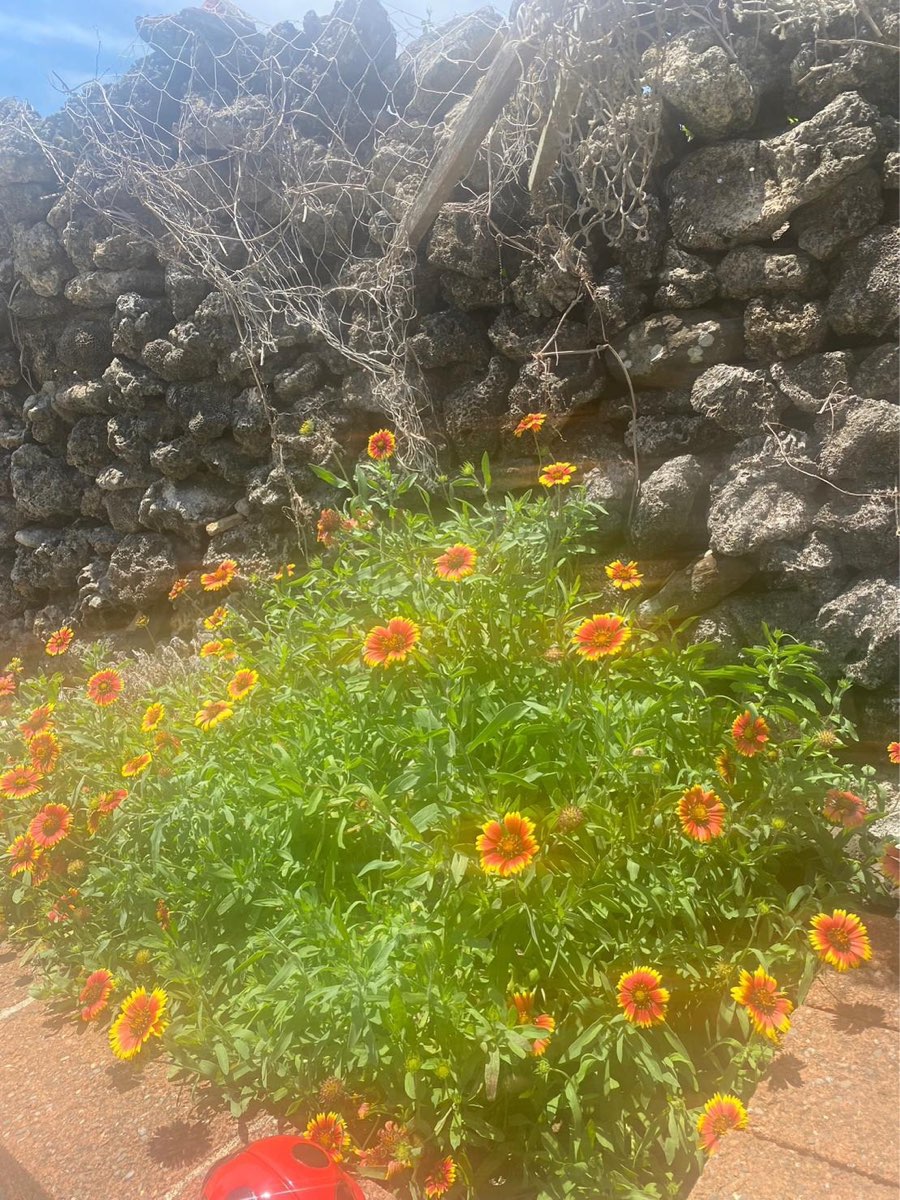 南寮古厝 | 去趣 chicTrip