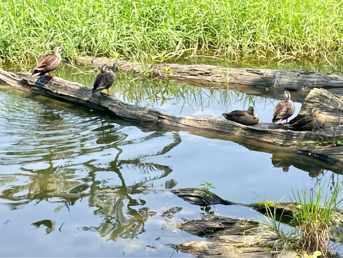 羅東林業文化園區 | 去趣 chicTrip