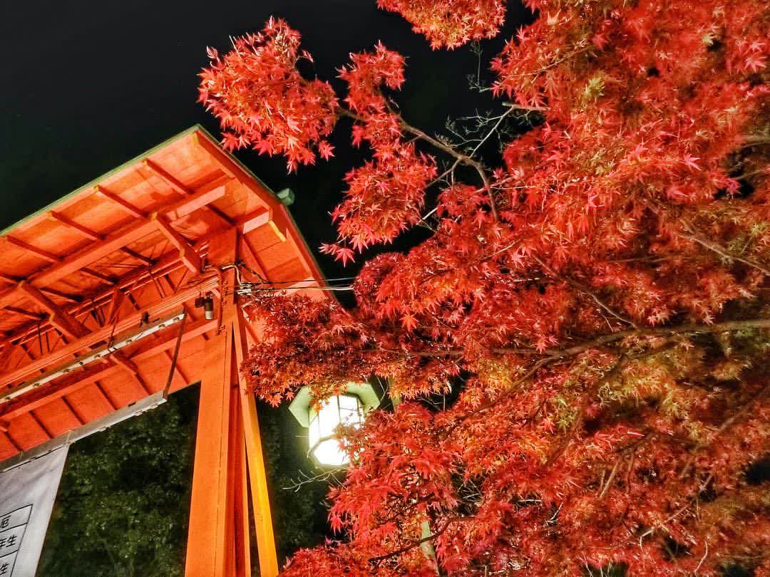 Yasaka Shrine | 去趣 chicTrip