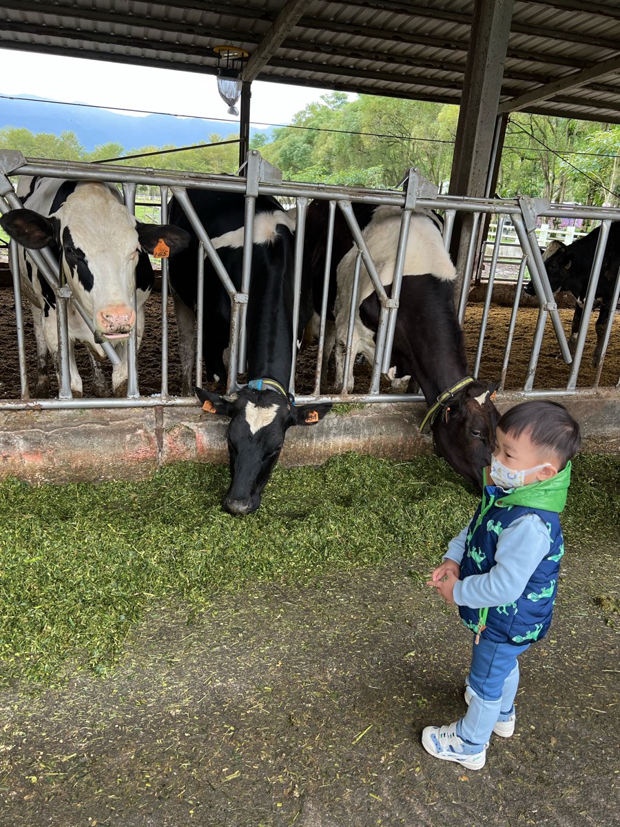 瑞穗牧場 | 去趣 chicTrip