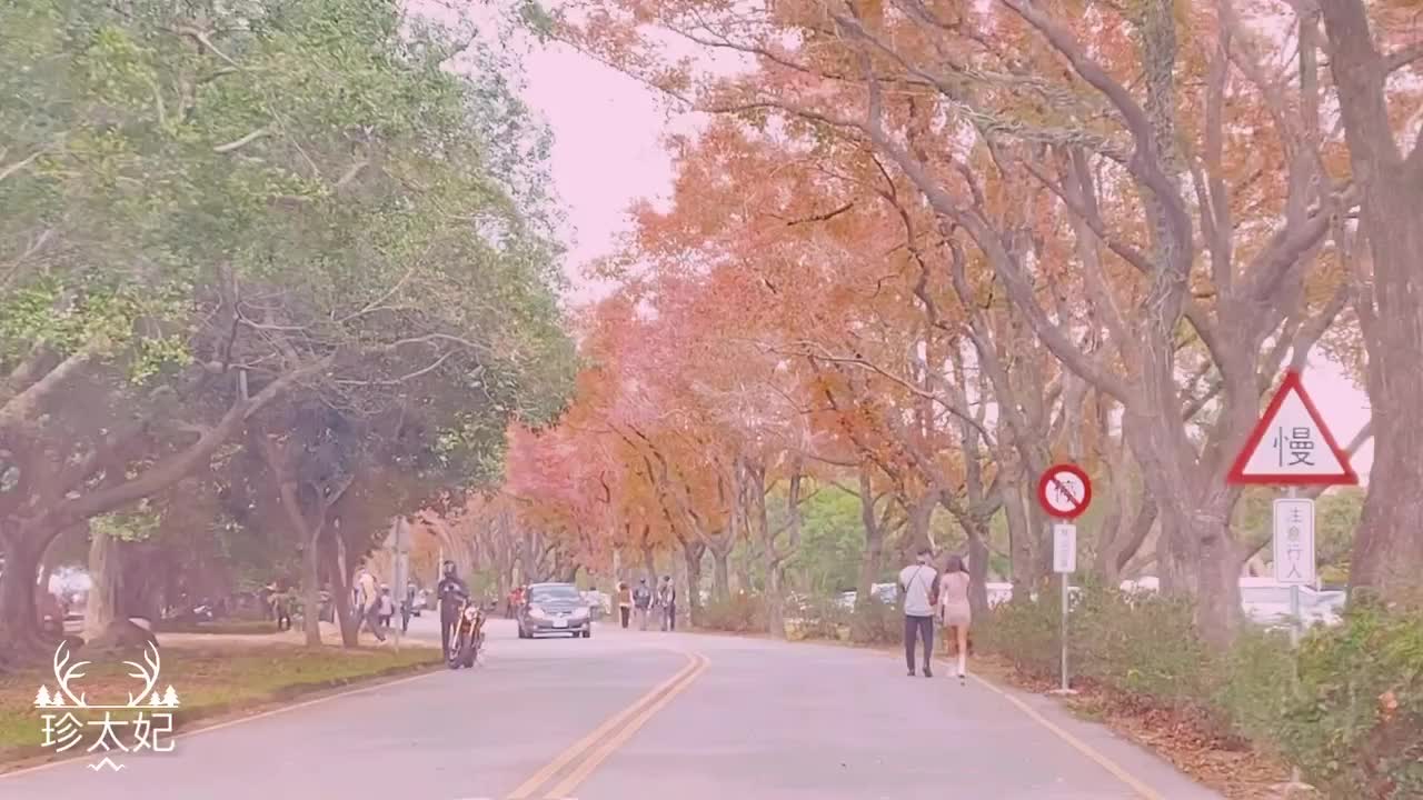 石門水庫槭林步道