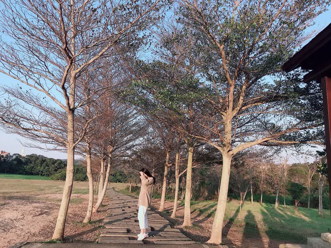 青青草原 | 去趣 chicTrip