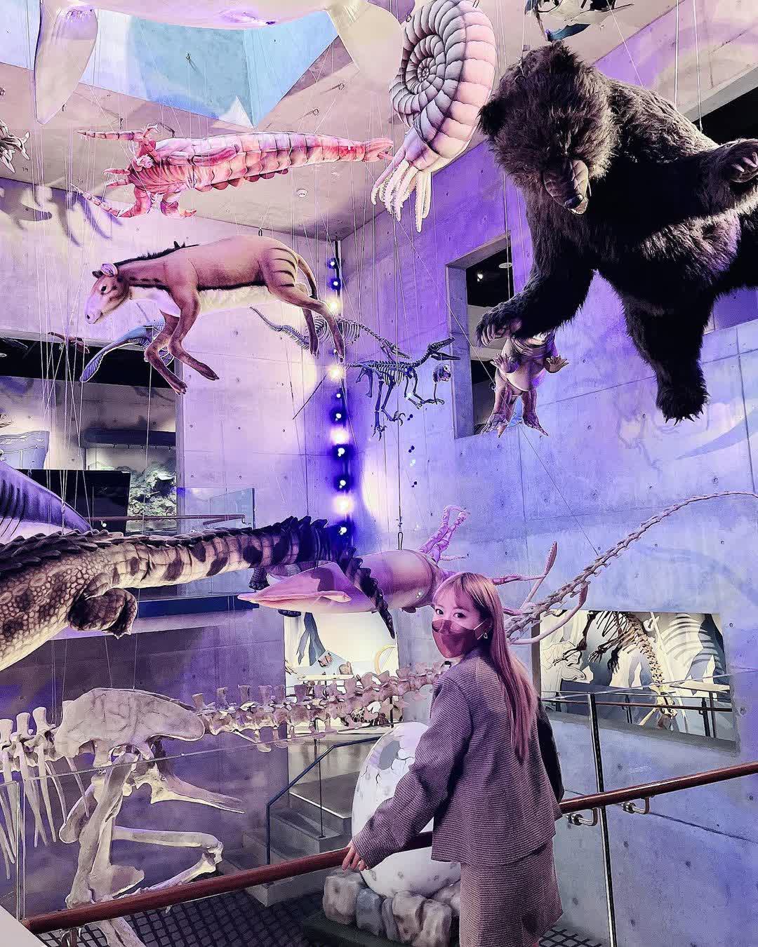 臺南左鎮化石園區(16:00截止售票、17:00閉館) | 去趣 chicTrip