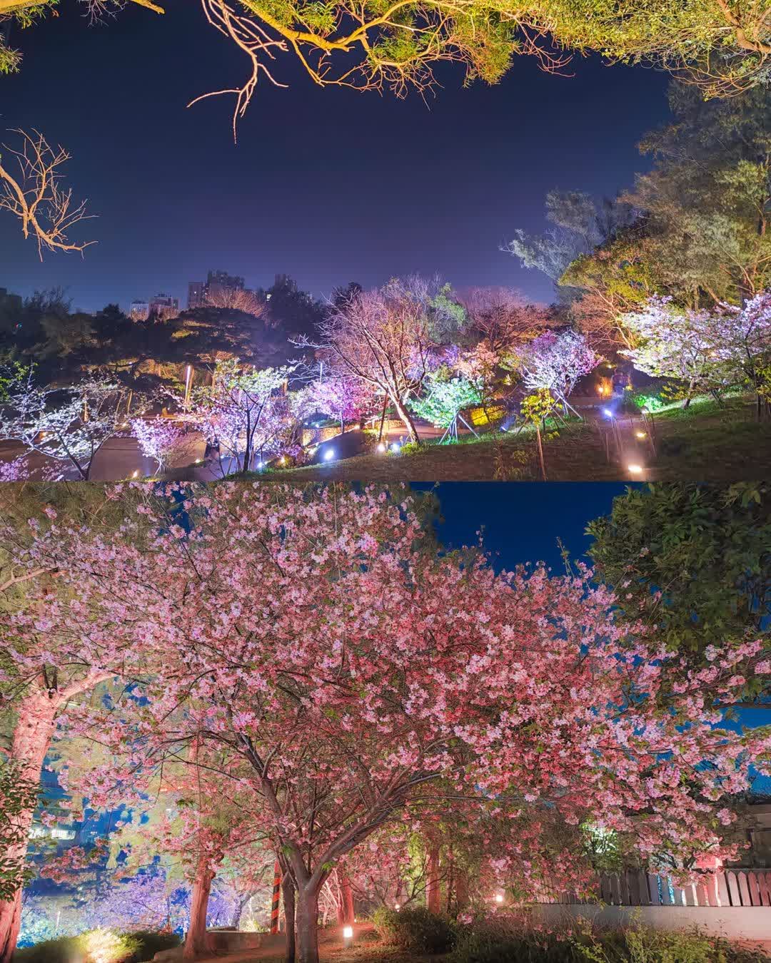 新竹公園 | 去趣 chicTrip