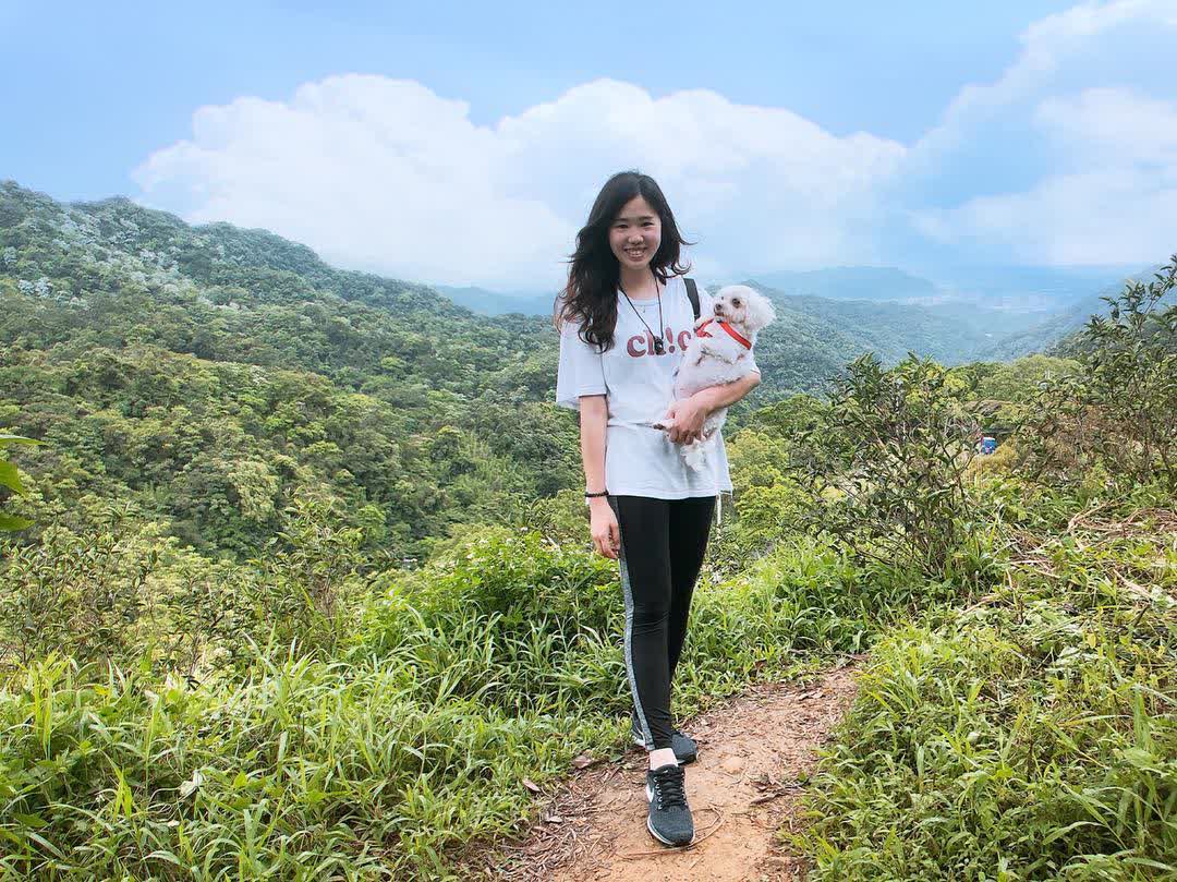 土城桐花公園 | 去趣 chicTrip