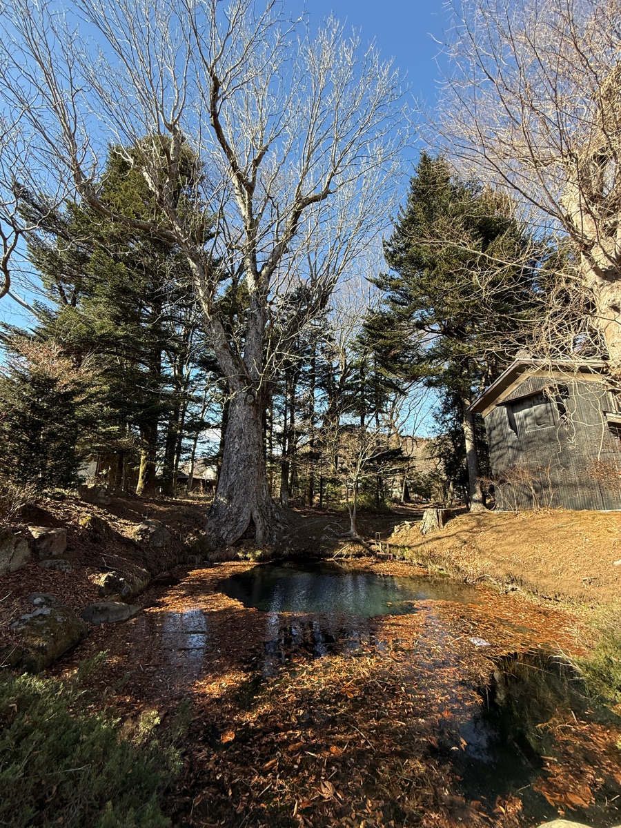 忍野八海 | 去趣 chicTrip