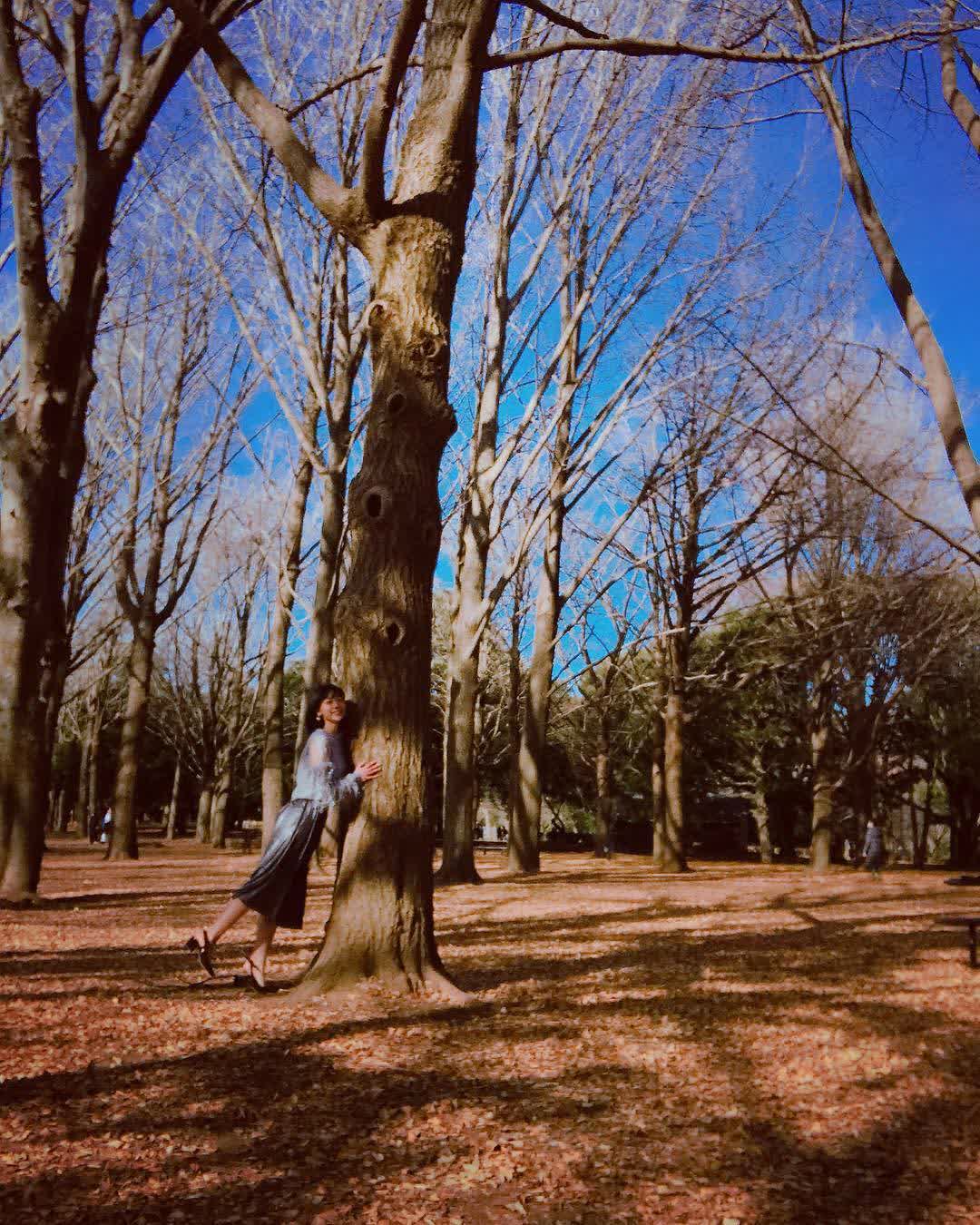 代代木公園 | 去趣 chicTrip