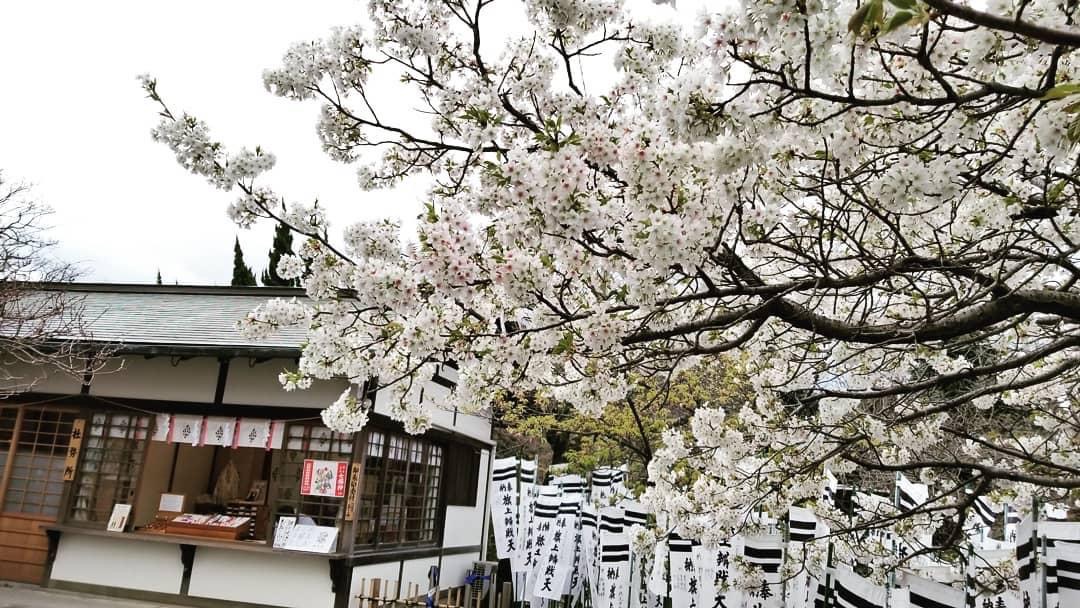 鶴岡八幡宮 | 去趣 chicTrip