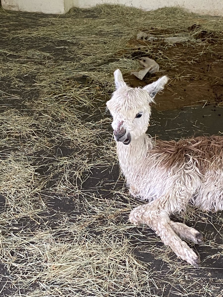 綠舞國際觀光飯店 | 去趣 chicTrip