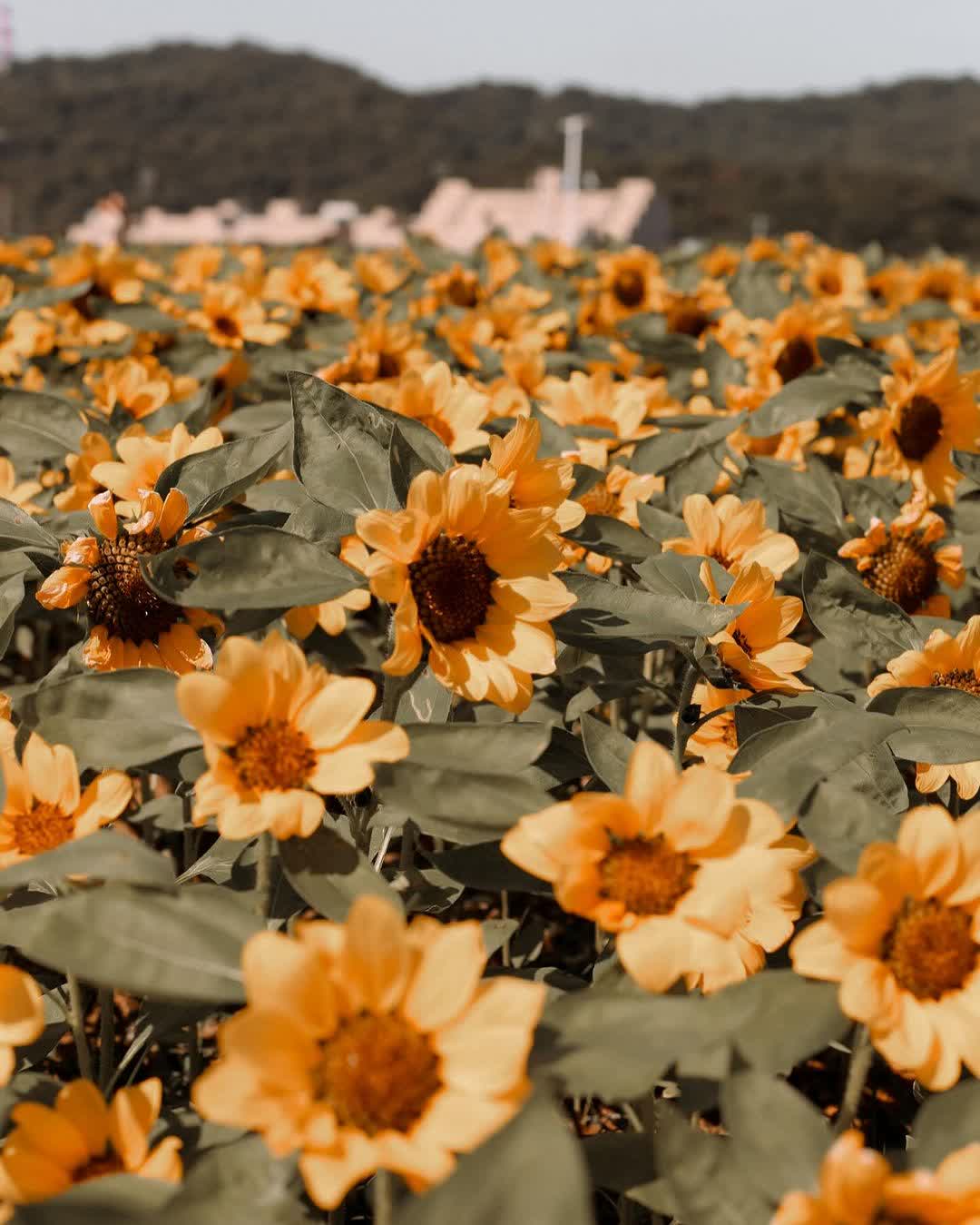 大佳河濱公園 | 去趣 chicTrip