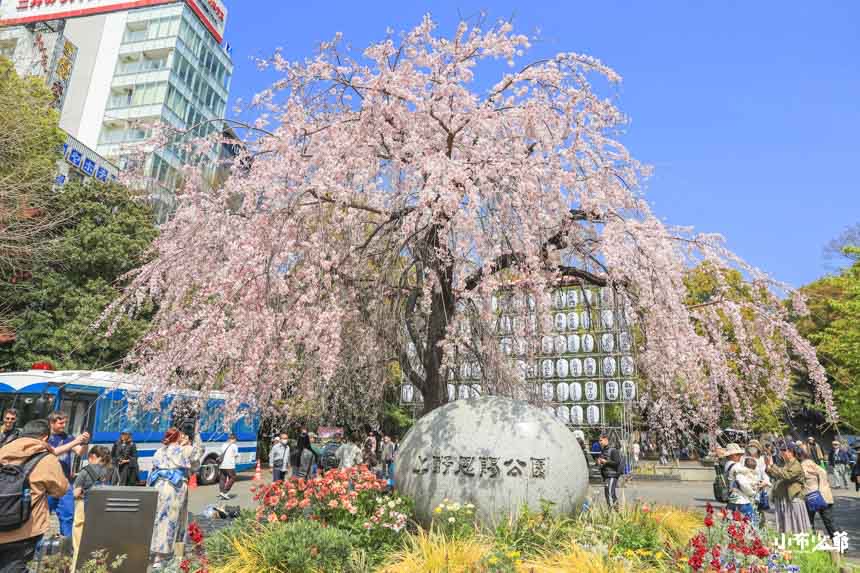 上野恩賜公園 | 去趣 chicTrip