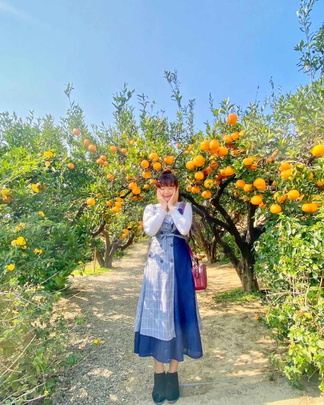 橙香森林 | 去趣 chicTrip