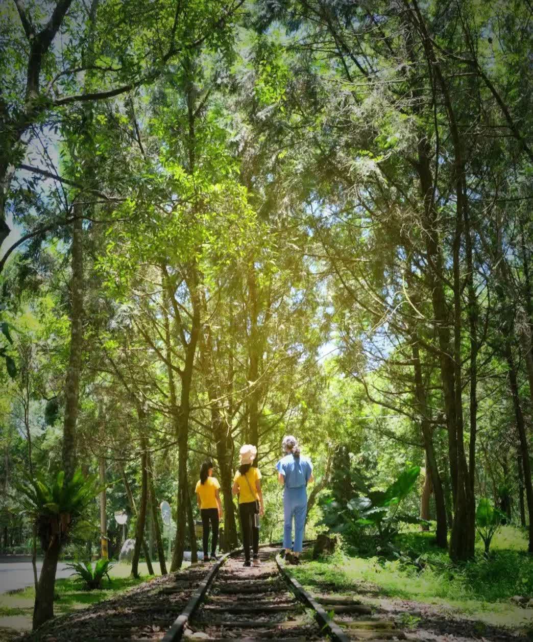 林田山林業文化園區 | 去趣 chicTrip