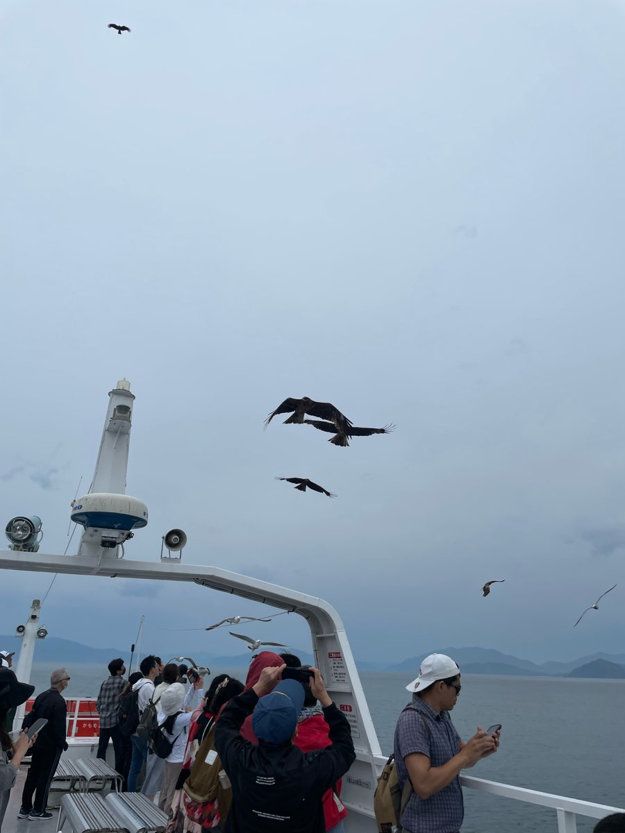 伊根灣賞景觀光船 | 去趣 chicTrip