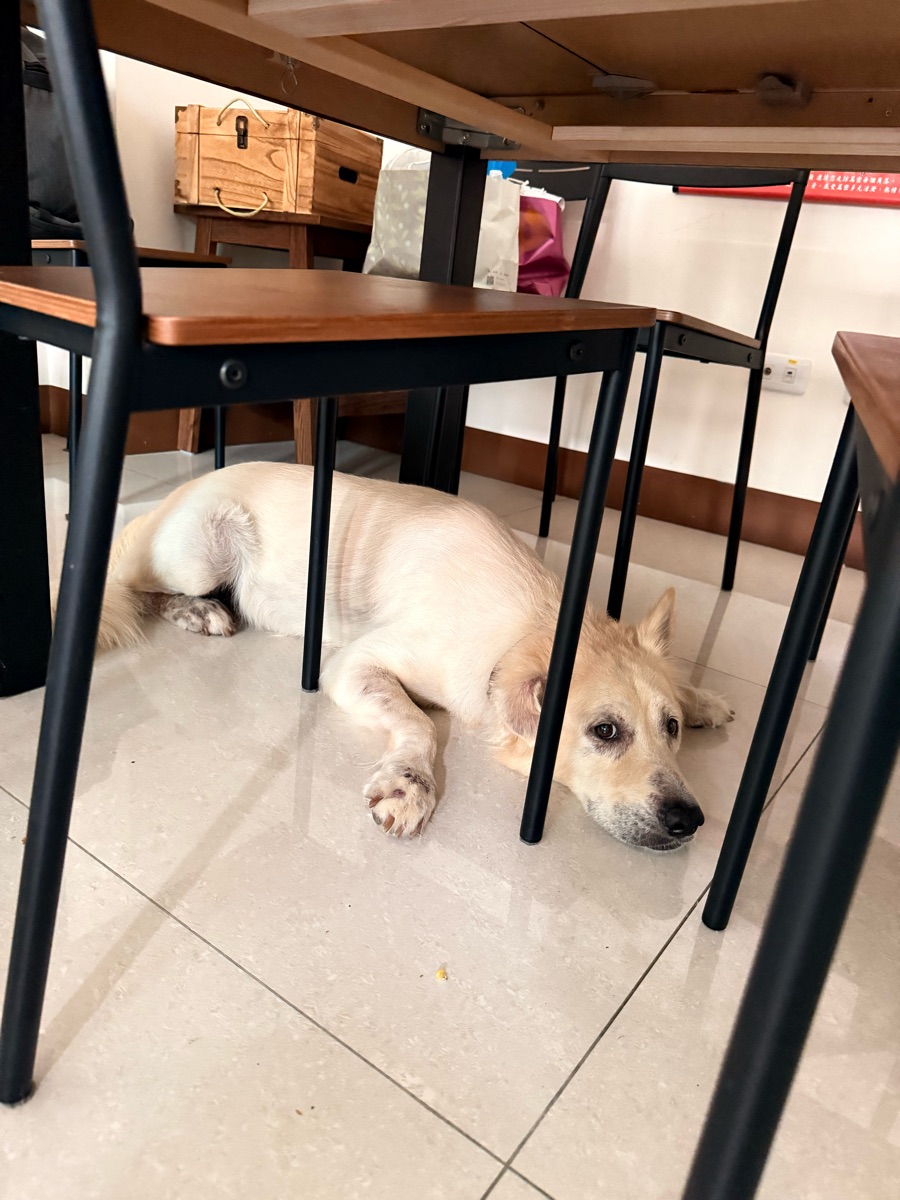 高雄國際機場 | 去趣 chicTrip