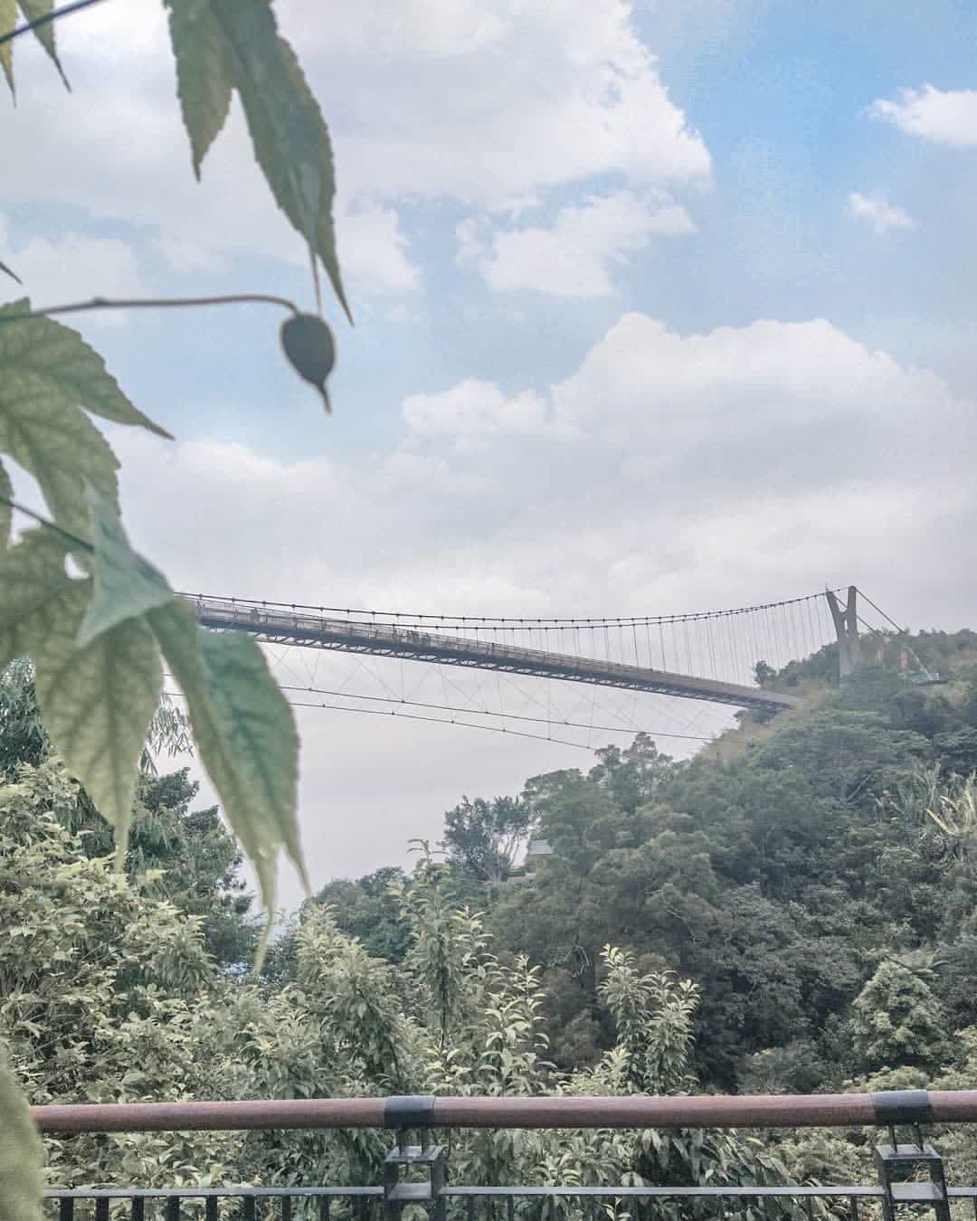 嘉義梅山太平雲梯 | 去趣 chicTrip