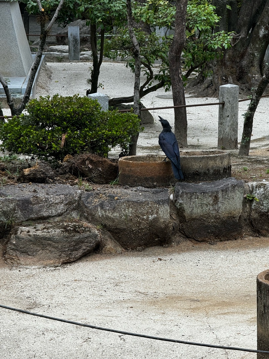 住吉神社 | 去趣 chicTrip