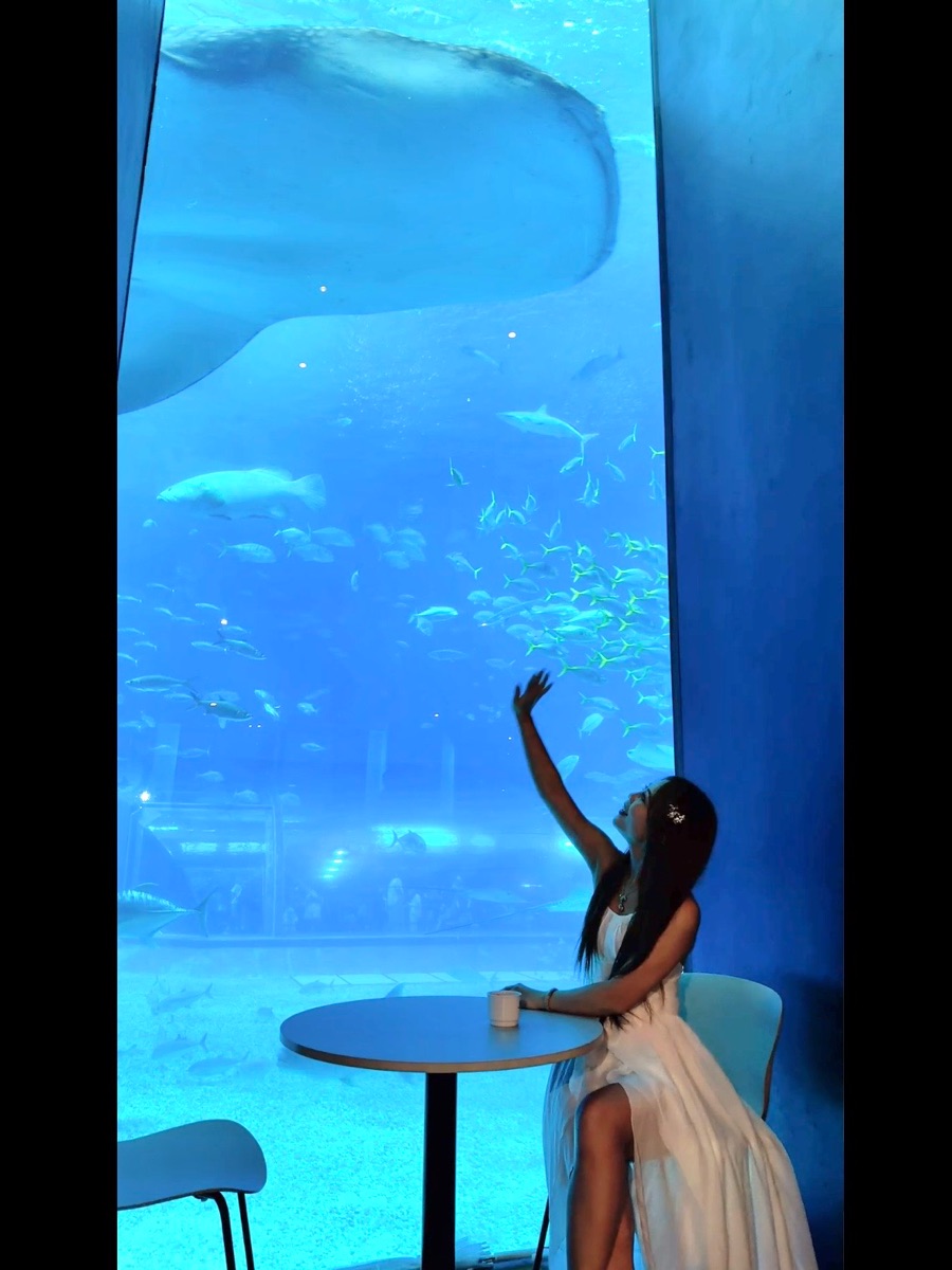 沖繩美麗海水族館 | 去趣 chicTrip