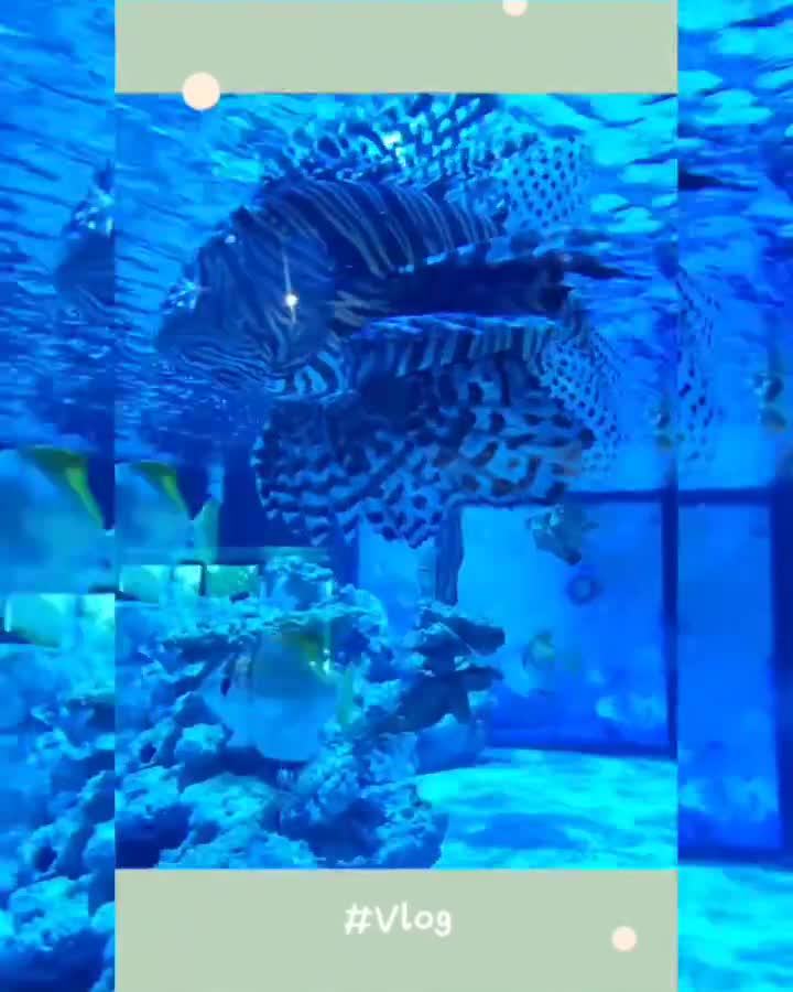 金車生技水產養殖研發中心 | 去趣 chicTrip