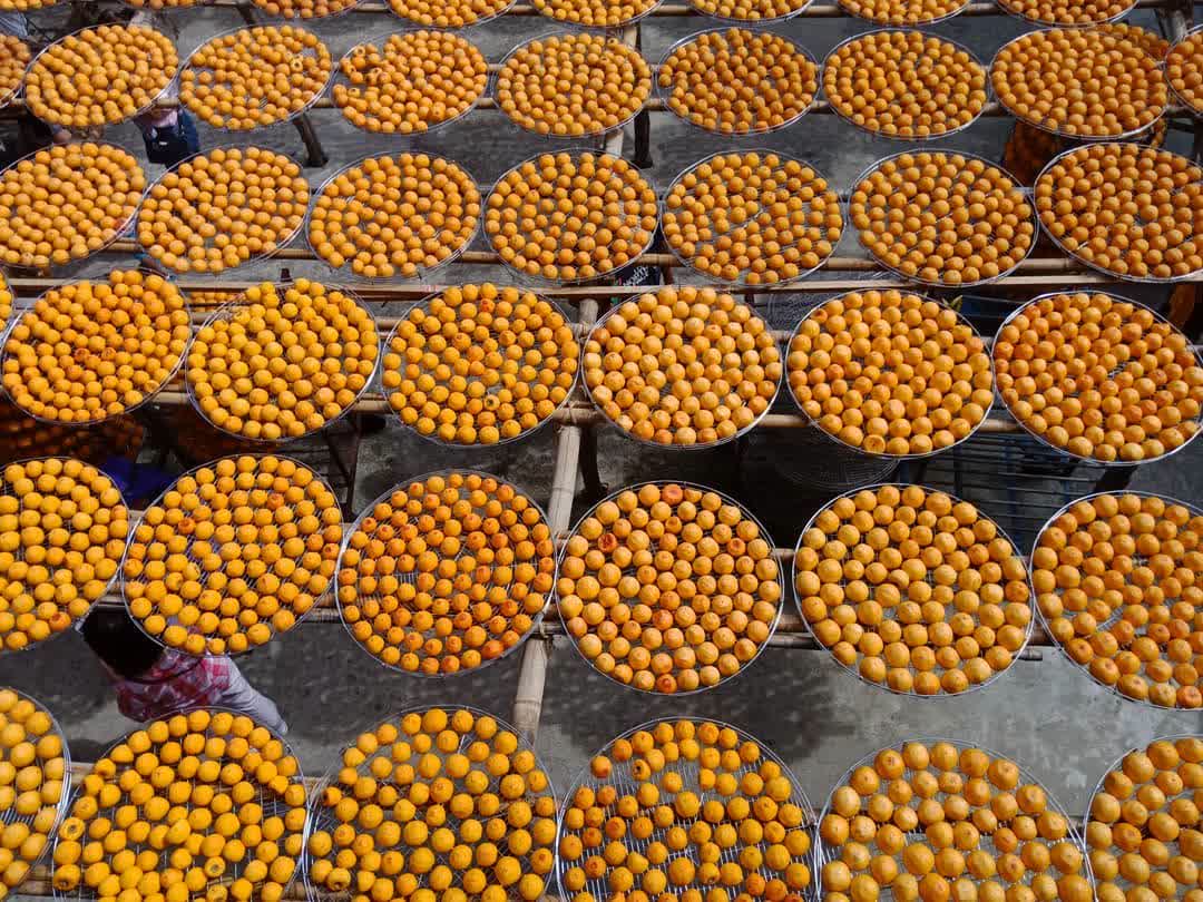 味衛佳柿餅教育農園 | 去趣 chicTrip