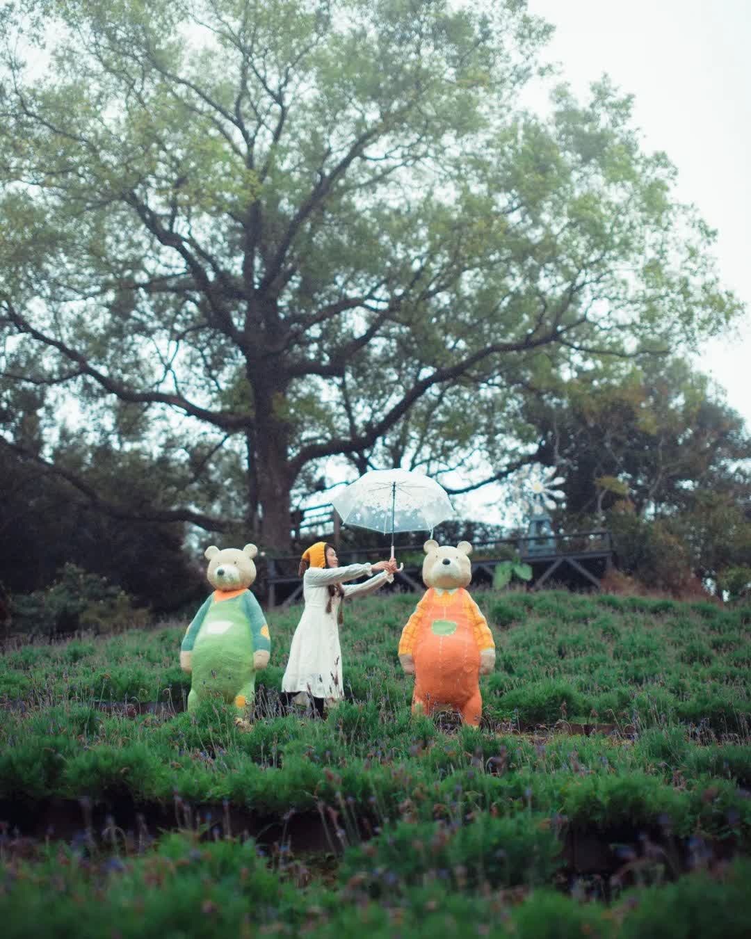 薰衣草森林台中新社店 | 去趣 chicTrip