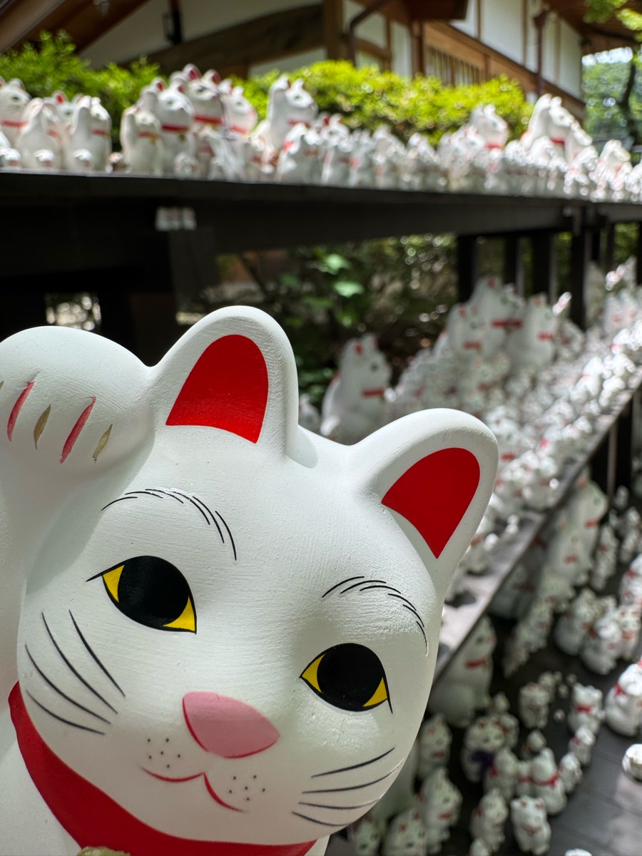 世田谷 豪德寺 | 去趣 chicTrip