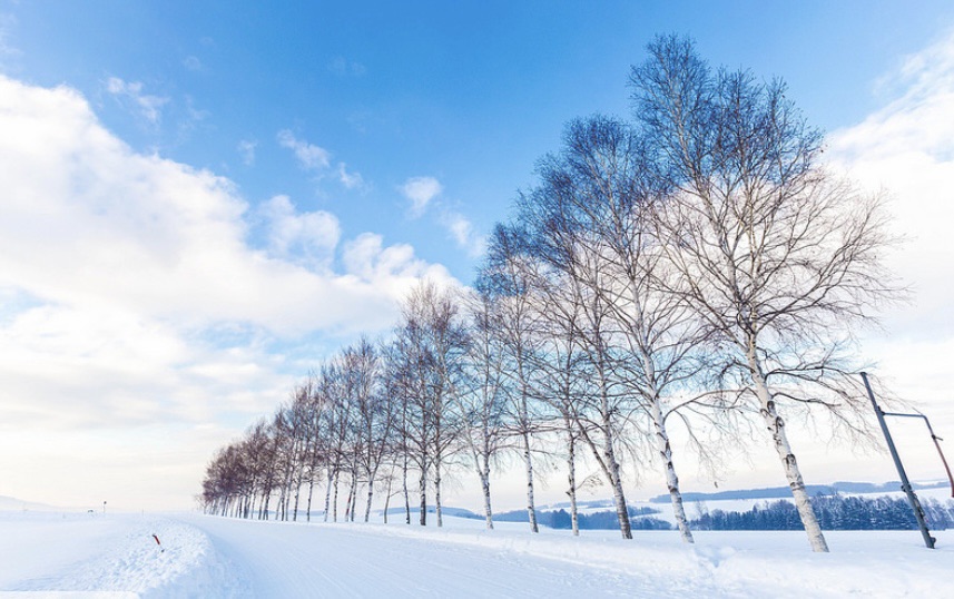 四季彩之丘 | 去趣 chicTrip