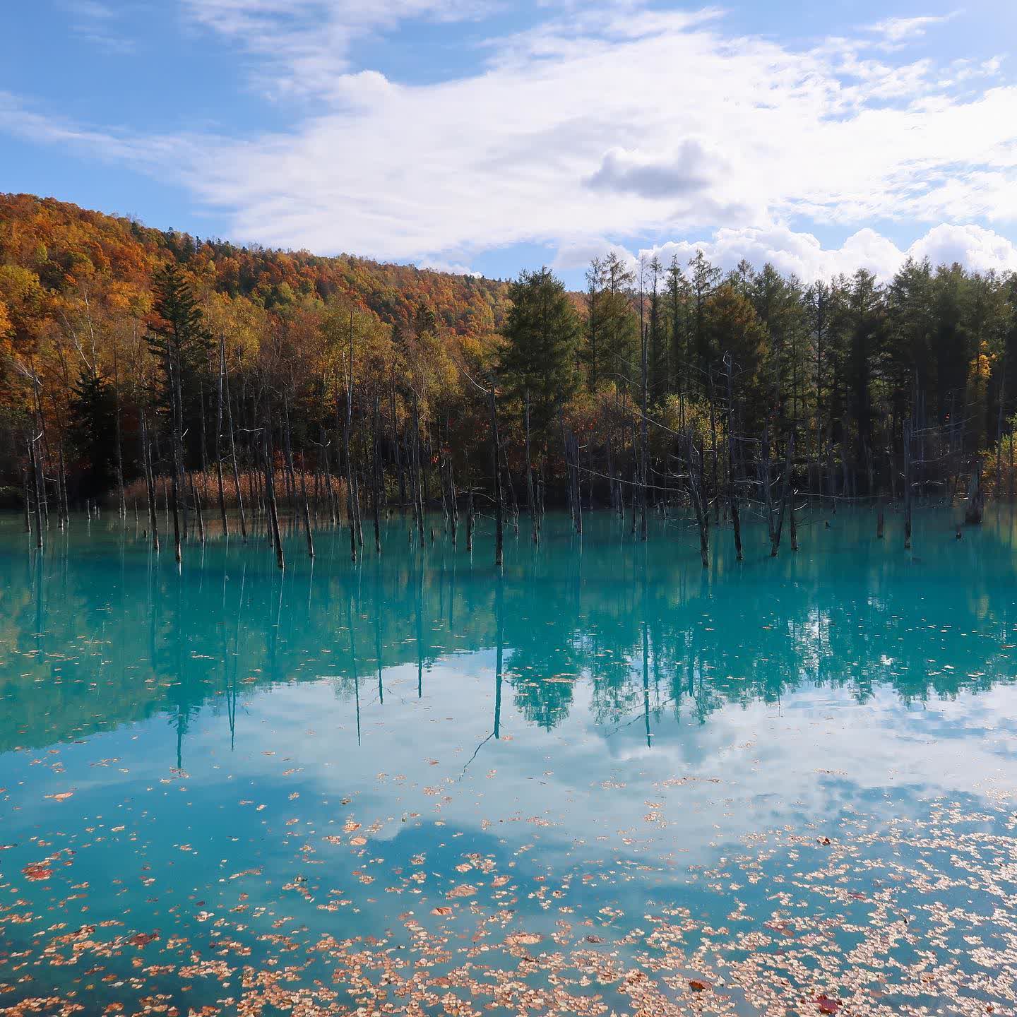 白金青池 | 去趣 chicTrip