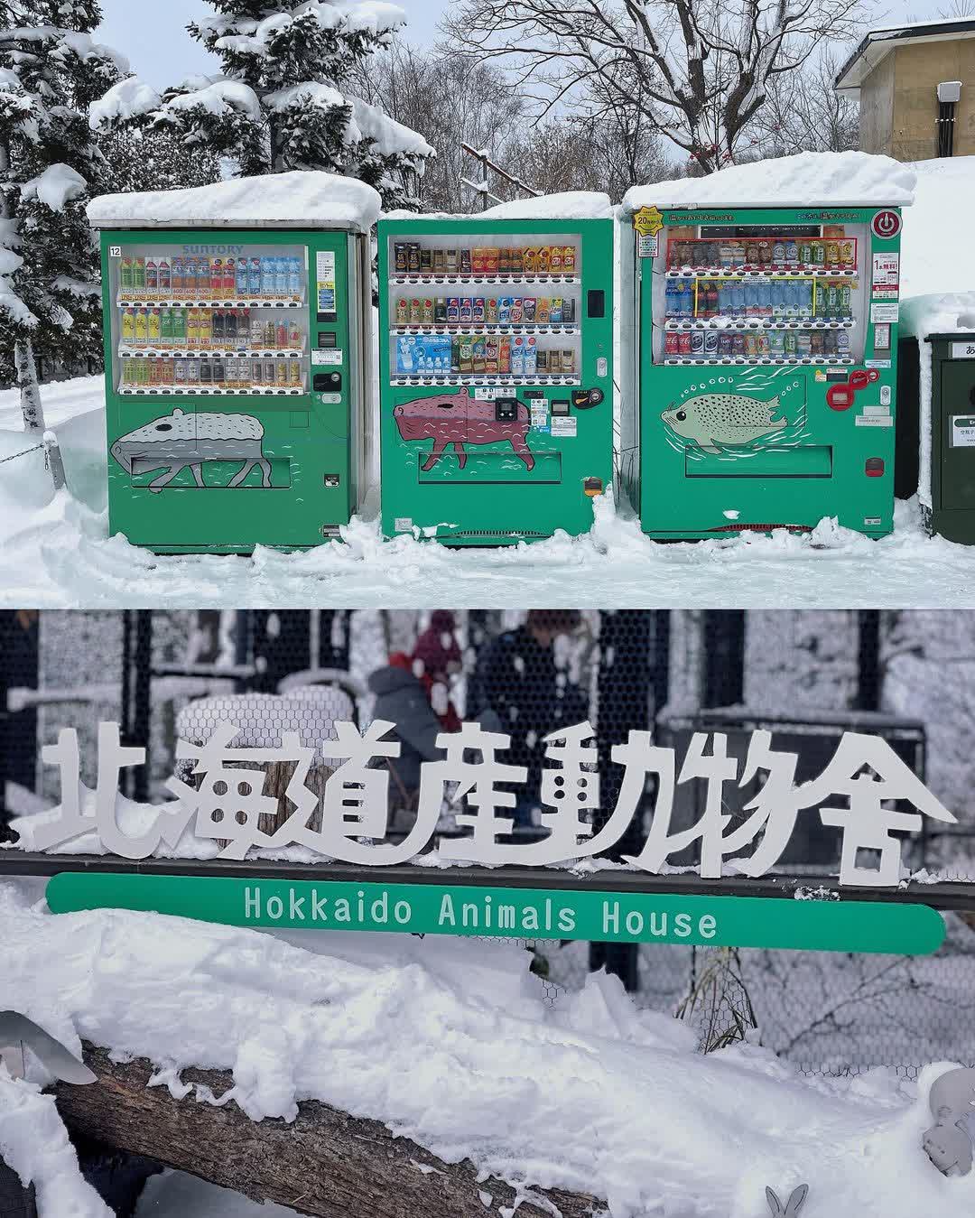 旭山動物園 | 去趣 chicTrip