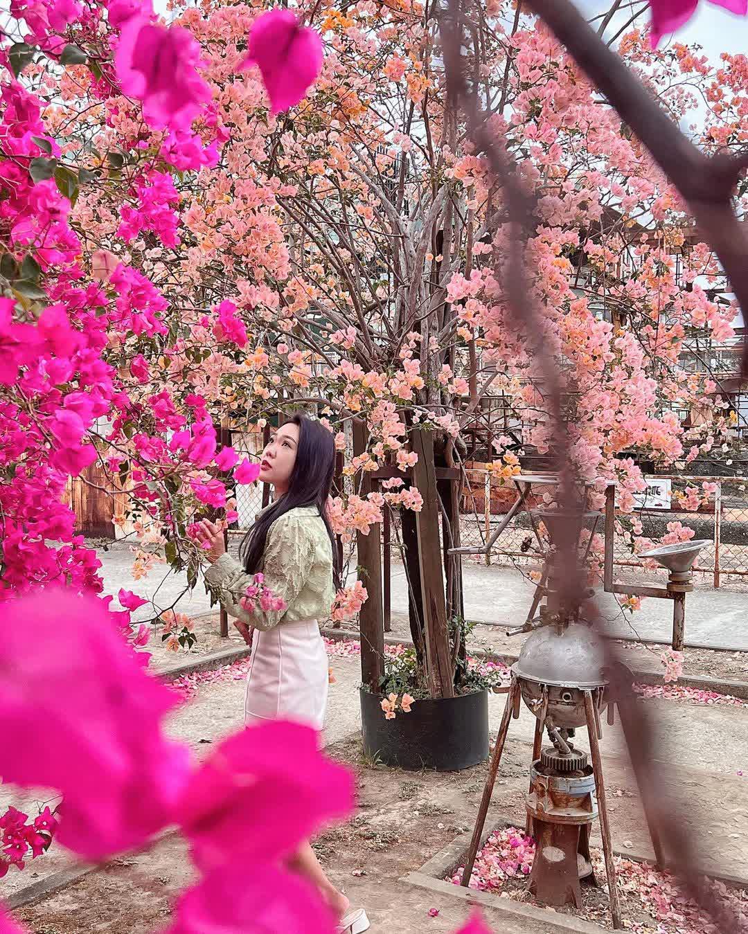 橋頭糖廠-糖業博物館 | 去趣 chicTrip