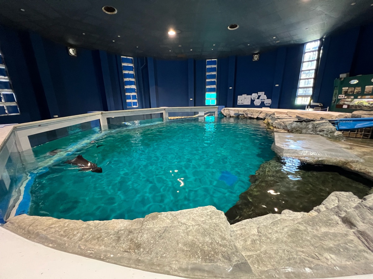 小樽水族館 | 去趣 chicTrip