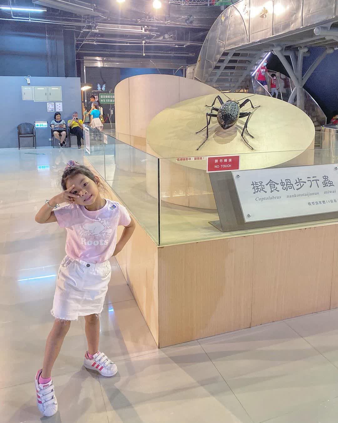 嘉大昆蟲館 | 去趣 chicTrip