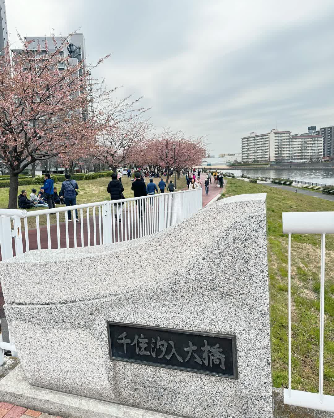 汐入公園 | 去趣 chicTrip