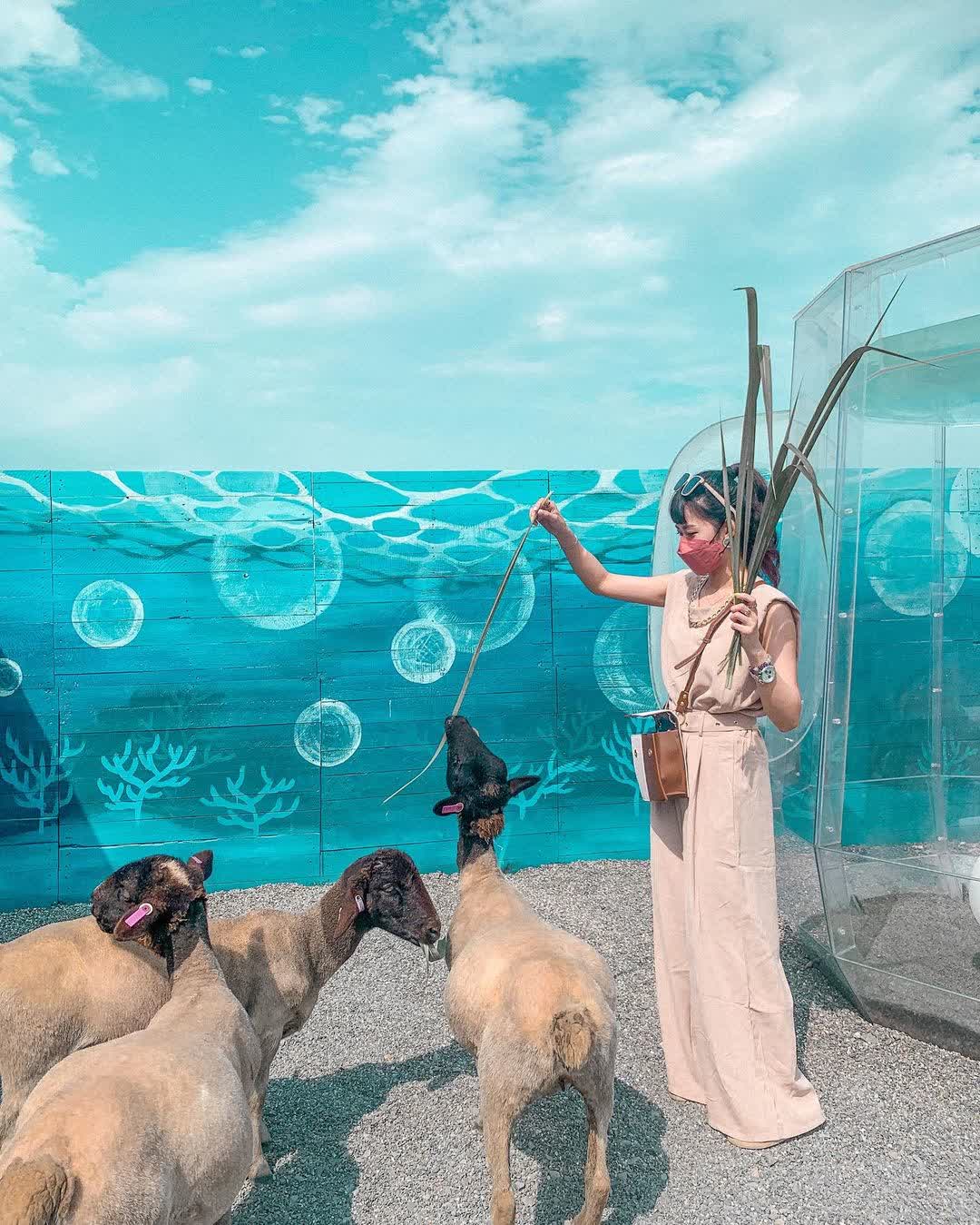 回巢農場 | 去趣 chicTrip