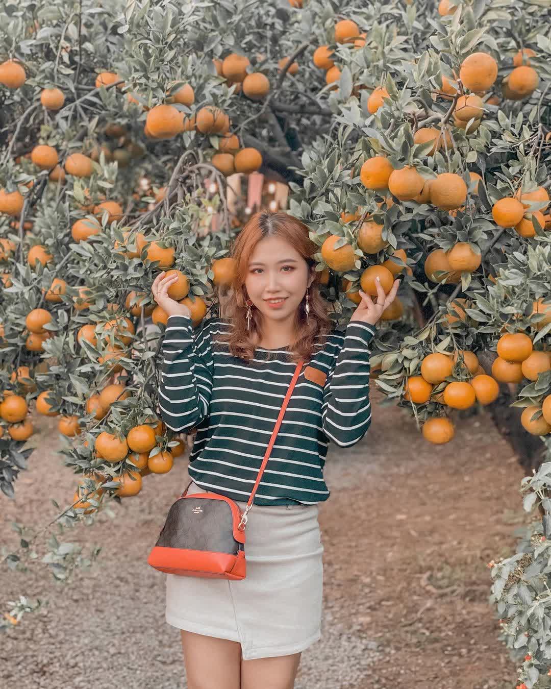 橙香森林 | 去趣 chicTrip