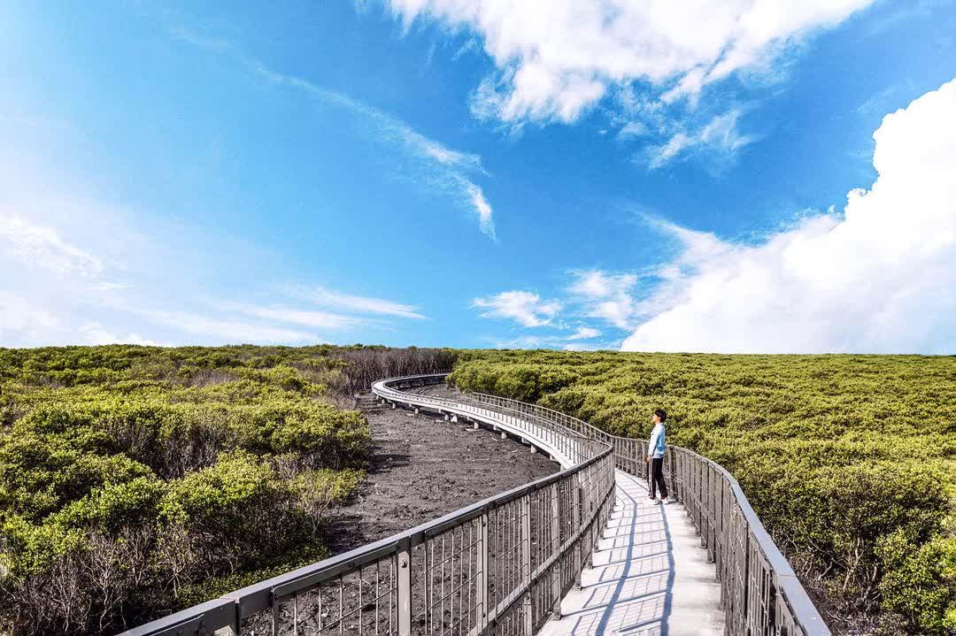 芳苑濕地紅樹林海空步道 | 去趣 chicTrip