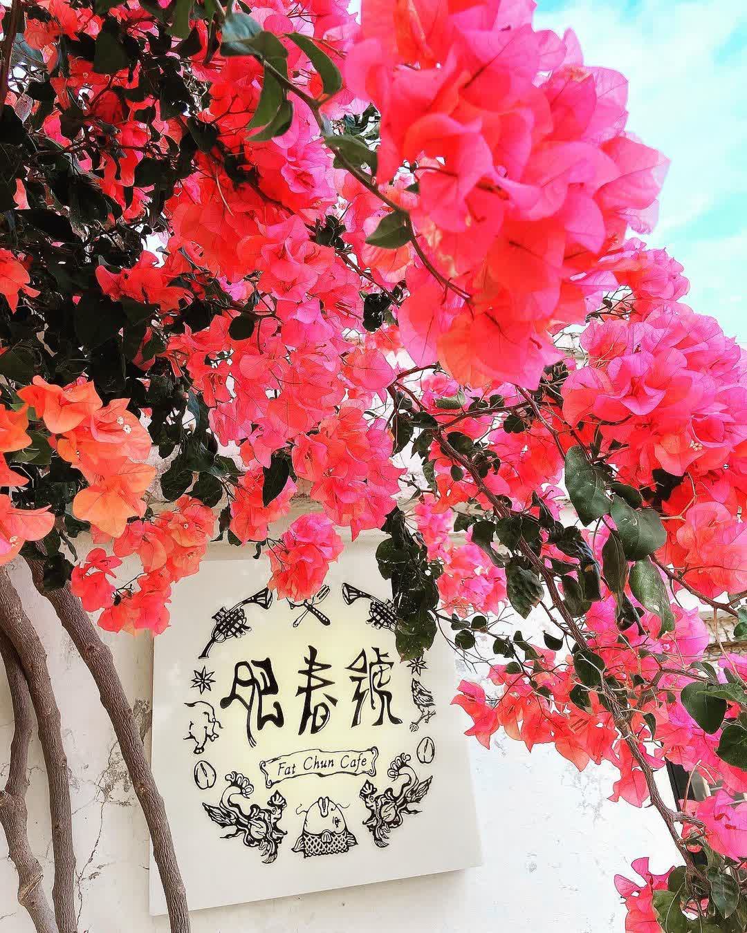 肥春號 Fatchun Cafe