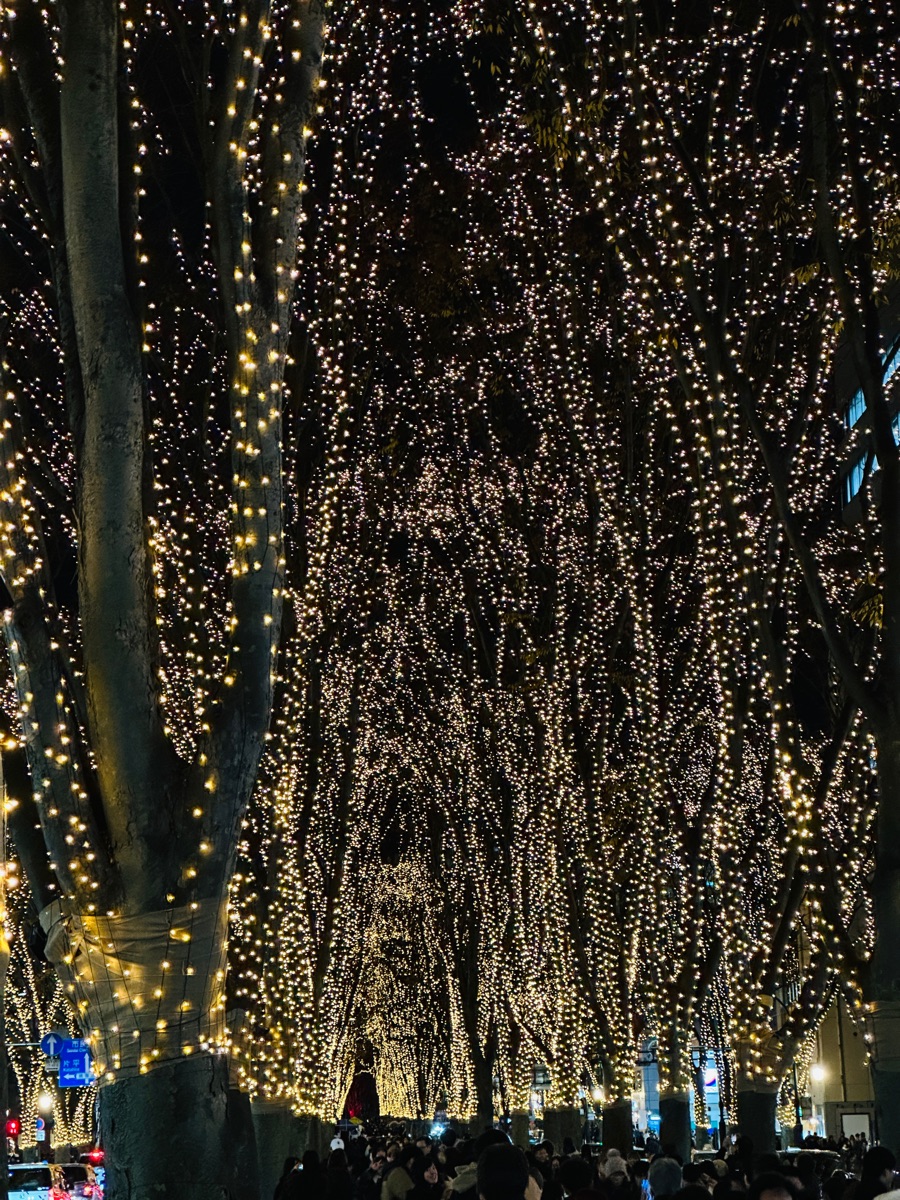 定禪寺通綠地 | 去趣 chicTrip