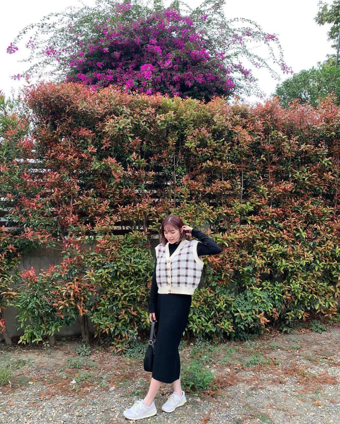 青埔落羽松秘境 | 去趣 chicTrip