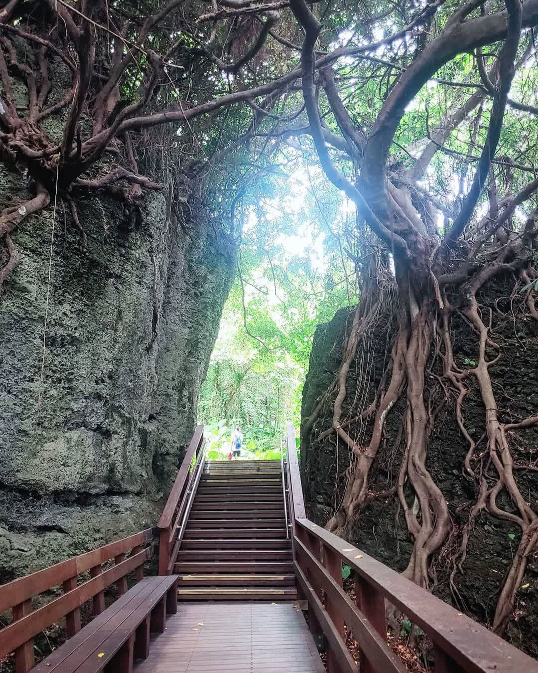 山豬溝生態步道 | 去趣 chicTrip